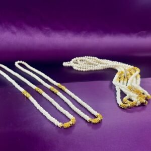 2 swagat maala wedding baraat