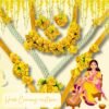 Haldi Function