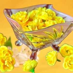 Yellow Rose (Pack of 6)