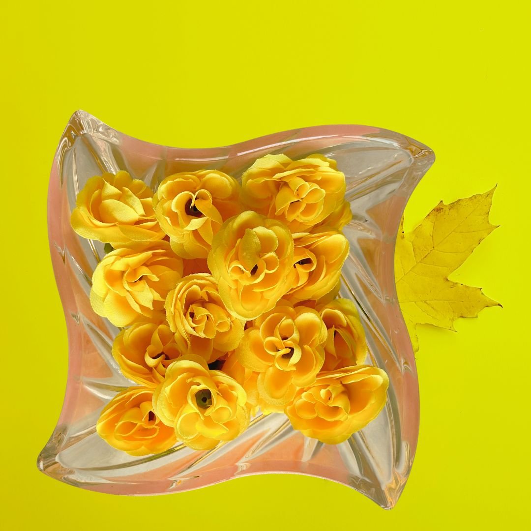 xr:d:DAF0J-nxCTA:40,j:6547517202740816241,t:23111504