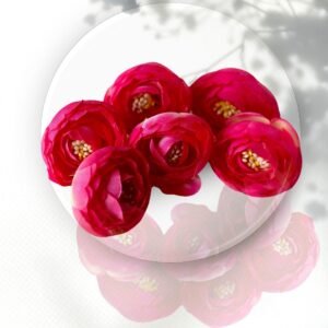 Pink Peony (Pack of 6)