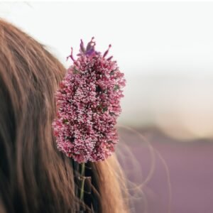 Pink Pollen (Pack of 12)