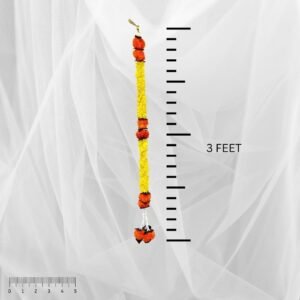 515-PcXTTXL._SL1080_ (1)