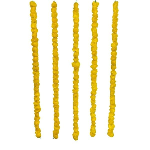 51FzUm6JoTL._SL1080_