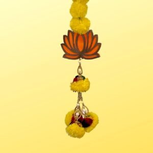 51x0nveadoL._SL1080_