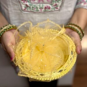 61-X2NRmGxL._SL1080_