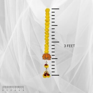 61DhgchK3hL._SL1080_ (1)