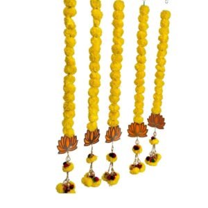 61cjYYLBUxL._SL1080_