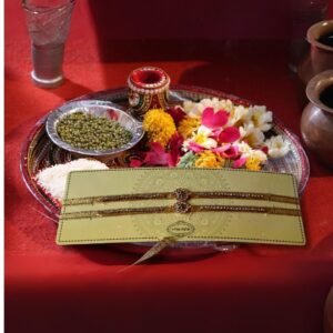 71aVTyspvlL._SL1080_