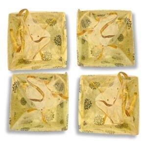 71bT-WEsWCL._SL1080_