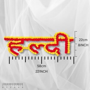 Haldi Ceremony PomPom