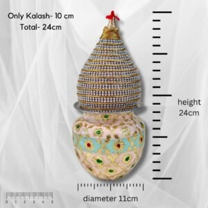 71OP1PzYfQL._SL1080_ (1)