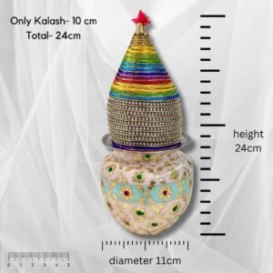 71b85RQRkzL._SL1080_ (1)