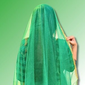 HALDI MEHENDI SHAADI Women's Chunri Net Stone Work Shimmer Lace Dupatta | Dulhan Bride Wedding, Mata Rani Chowki (2.05 meters) (Green) - PT01